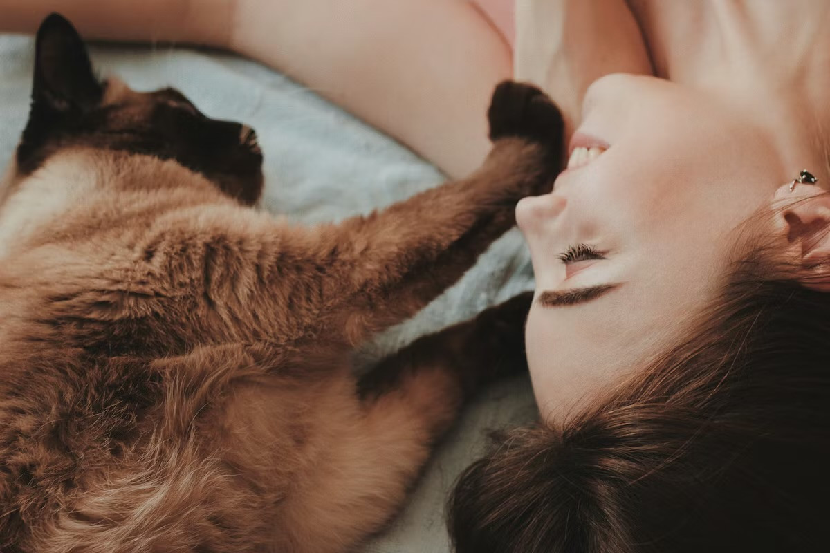 Cozymaxxing Kış Depresyonuna Birebir!